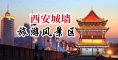 想看看日逼的中国陕西-西安城墙旅游风景区