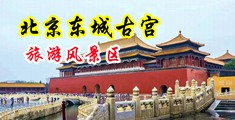 国语视频秀屄屄中国北京-东城古宫旅游风景区